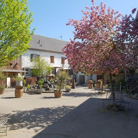 Schöne Wohnung auf idyllischem Reiterhof Nähe Burg Eltz und Mosel Münstermaifeld Exterior foto
