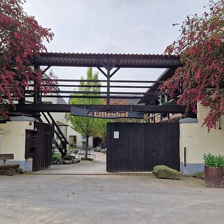 Schöne Wohnung auf idyllischem Reiterhof Nähe Burg Eltz und Mosel Münstermaifeld Exterior foto