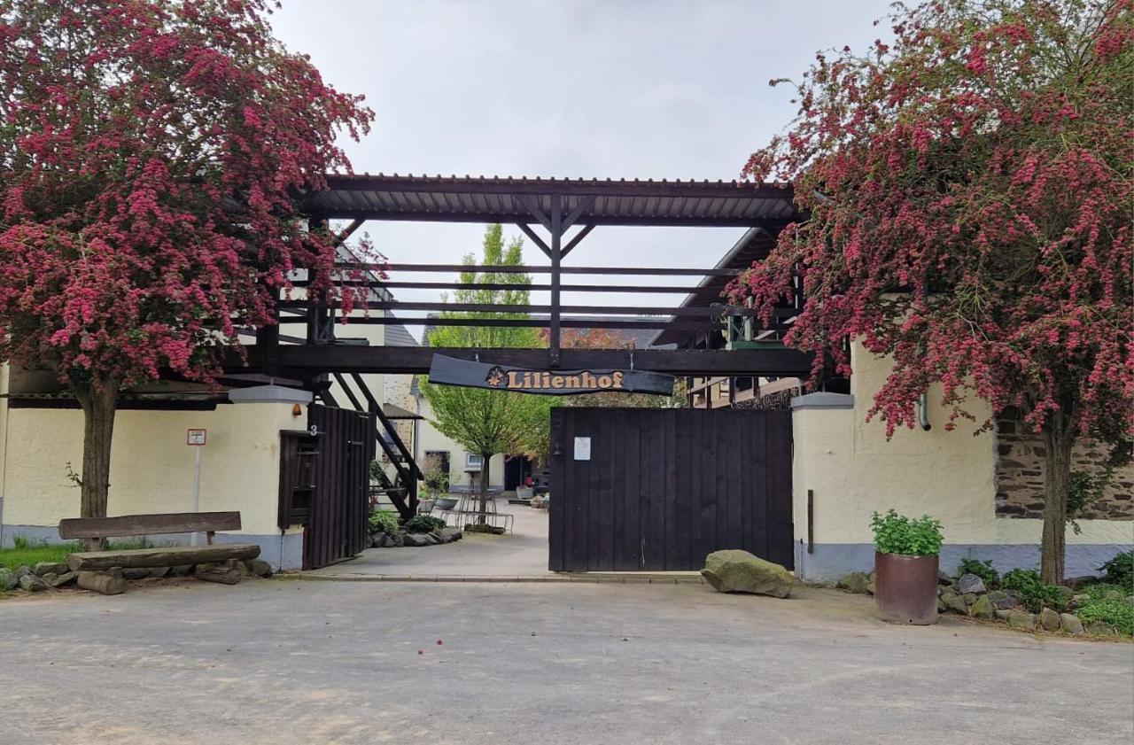 Schöne Wohnung auf idyllischem Reiterhof Nähe Burg Eltz und Mosel Münstermaifeld Exterior foto
